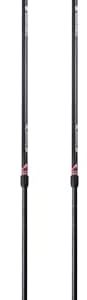Mountainsmith Andesite Trekking Pole Pair - Carbon